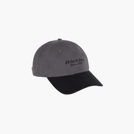 Dickies Cappello In Twill Di Cotone Everyday