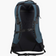 Arc'teryx Arro 22 BackPack