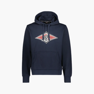 Bear - Hoodie Big Logo