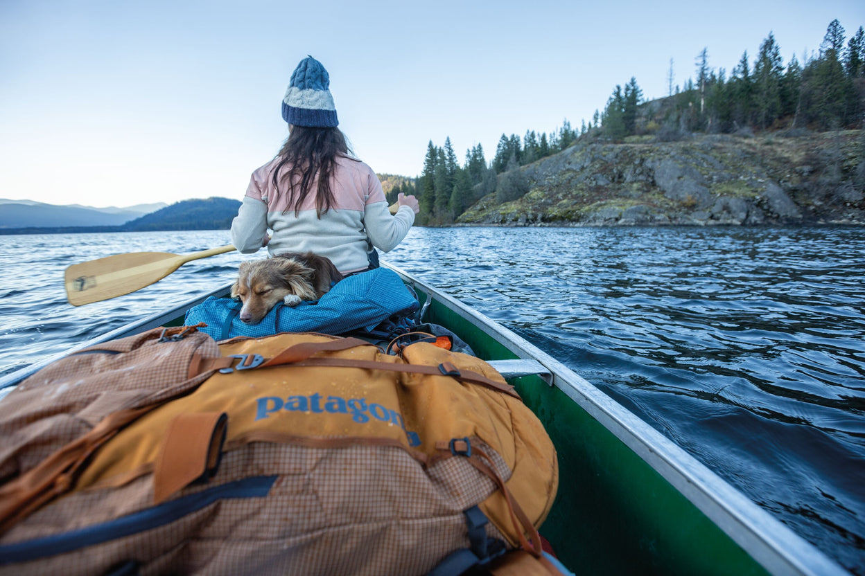 Immagine multimediale {{ index }}