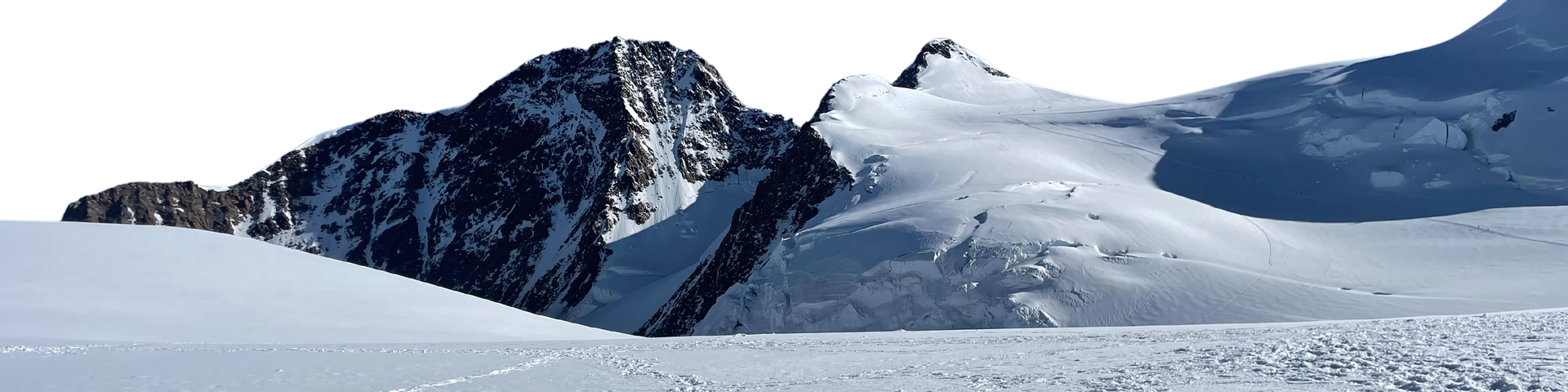 Immagine banner in evidenza