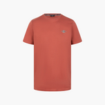 Bear - T-shirt Iconic Small Logo M