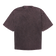 Woodbird - WBBeam Tinted Tee F6