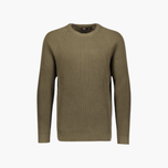 Bear - Knit Crew Neck