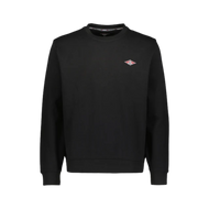 Bear - Crew Neck Small Logo F6