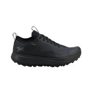 Arc'teryx - Sylan GTX M S6