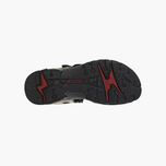 Ecco Offroad W