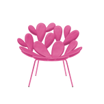 Qeeboo - Filicudi Armchair Colored