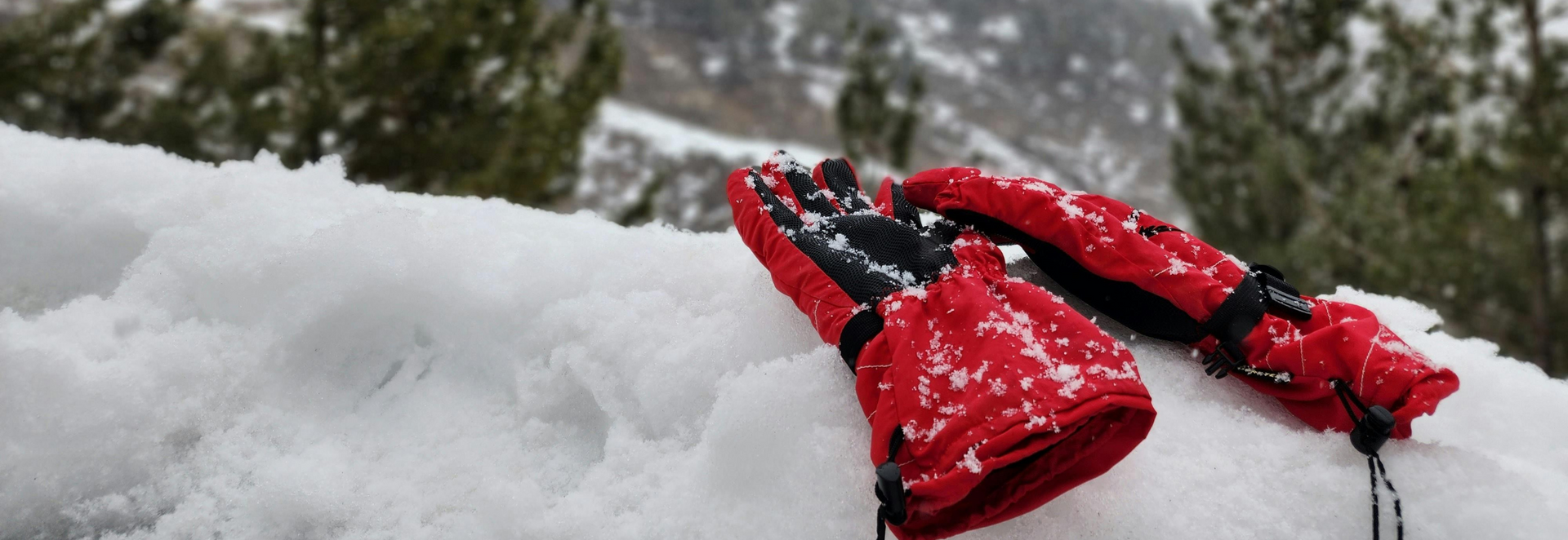 Immagine banner in evidenza 