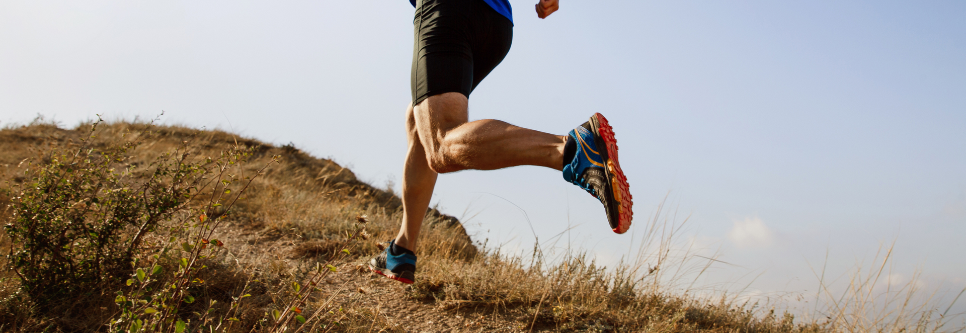 Immagine banner in evidenza 